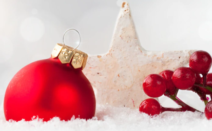 Wesołych Świąt Bożego Narodzenia oraz Szczęśliwego Nowego Roku !