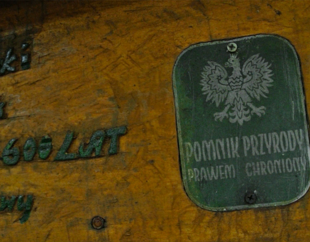 Opracowania przyrodnicze